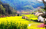 风景