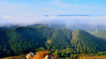 风景