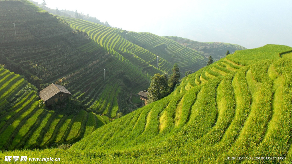 风景