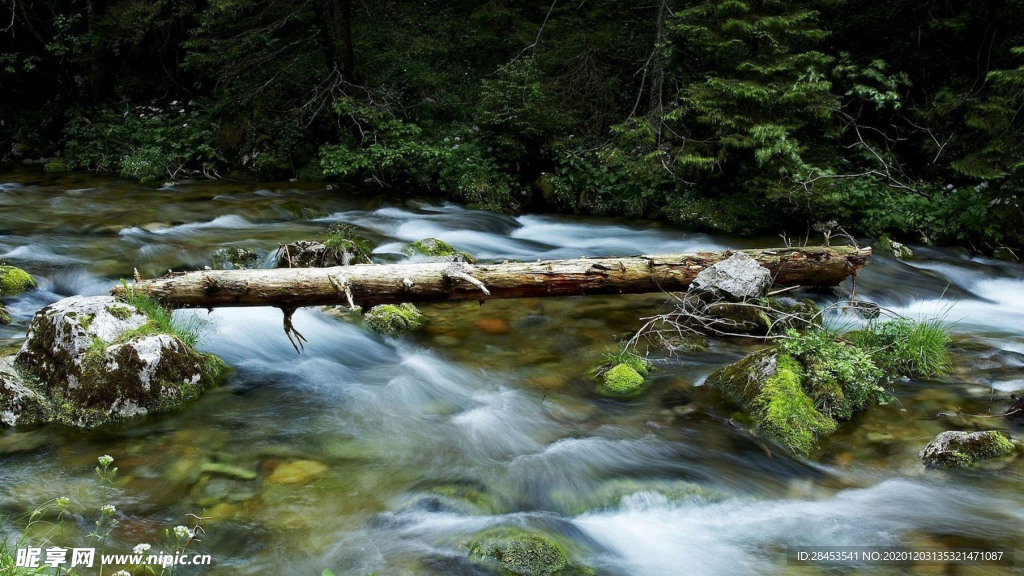 风景