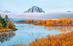 风景