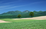 风景