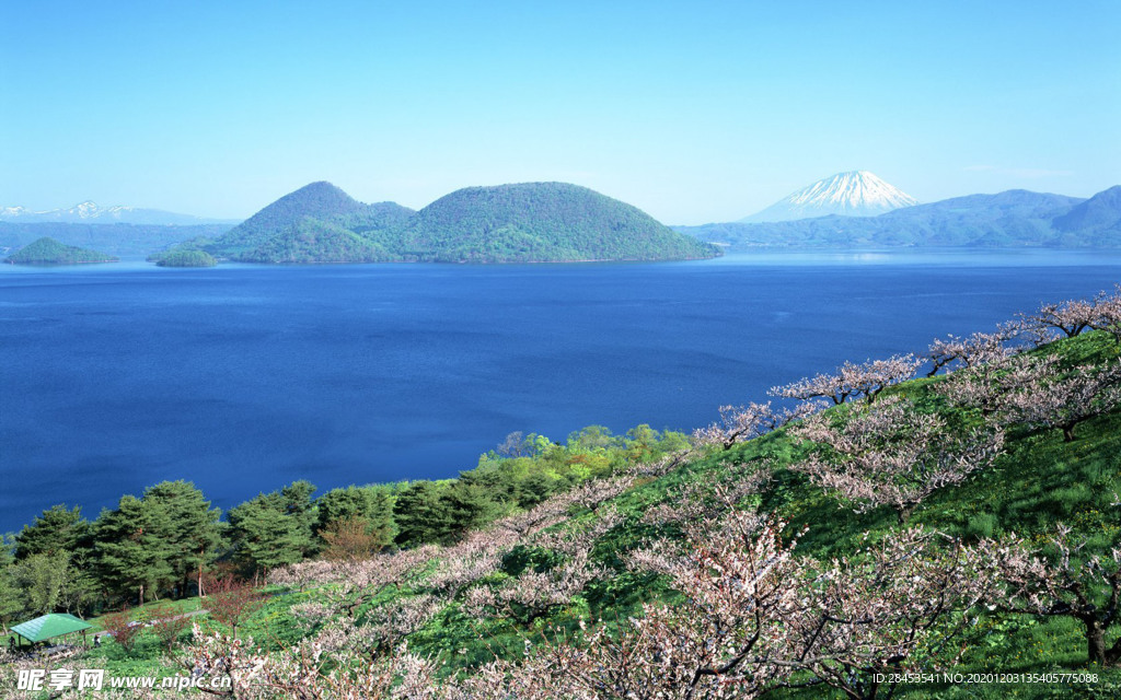 风景