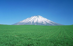 风景