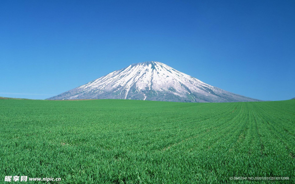 风景