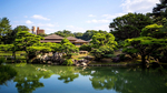 风景
