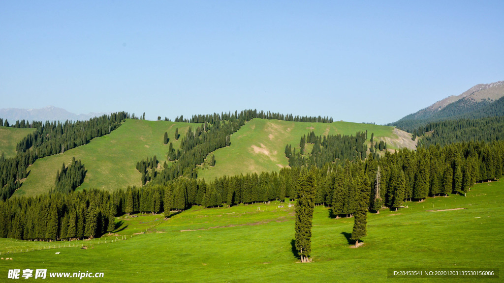 风景