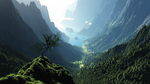 风景