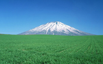 风景