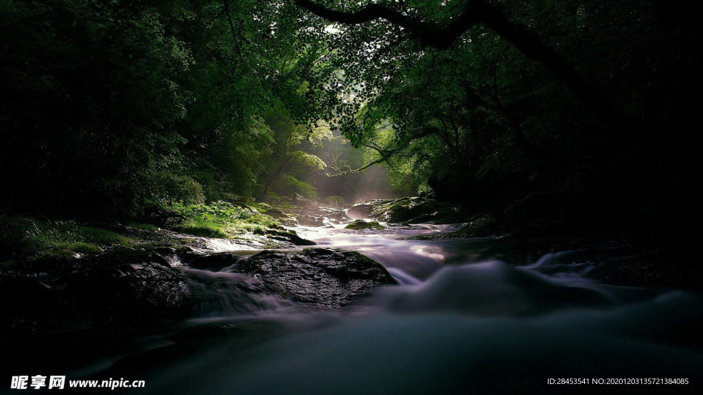 风景