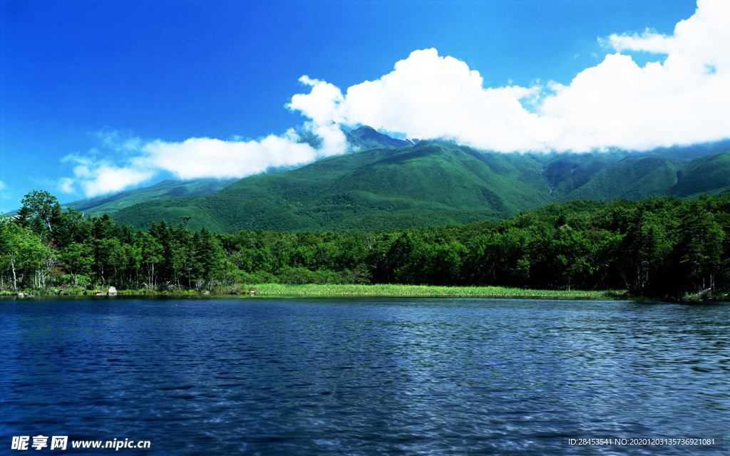 风景