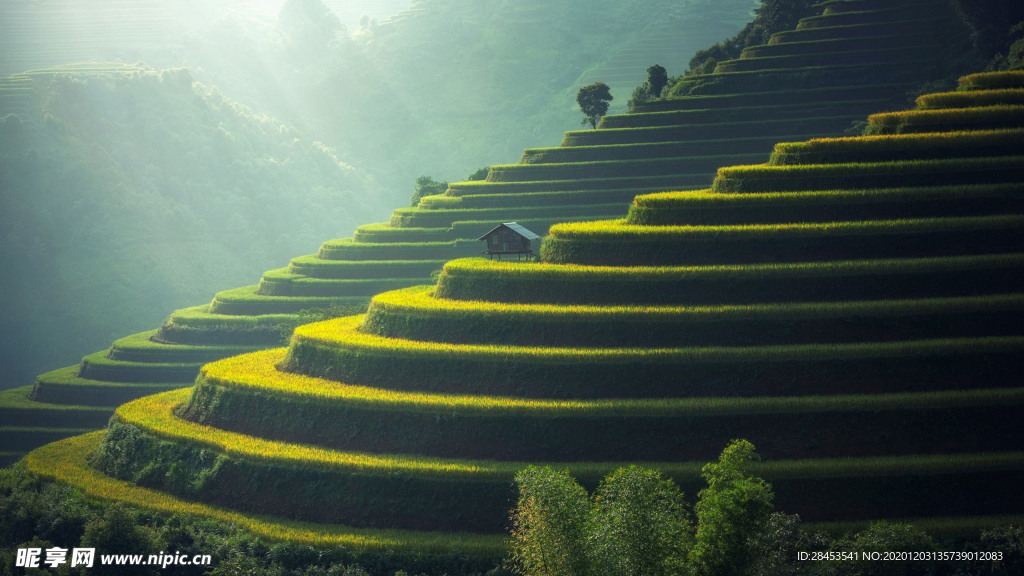风景