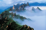 风景