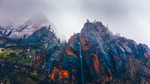 风景