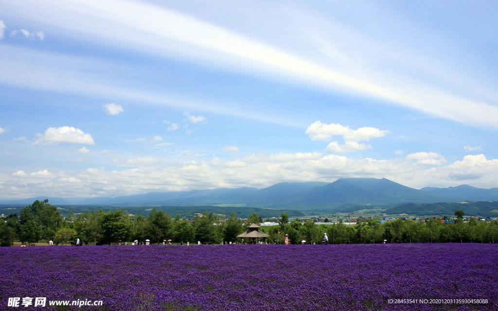 风景