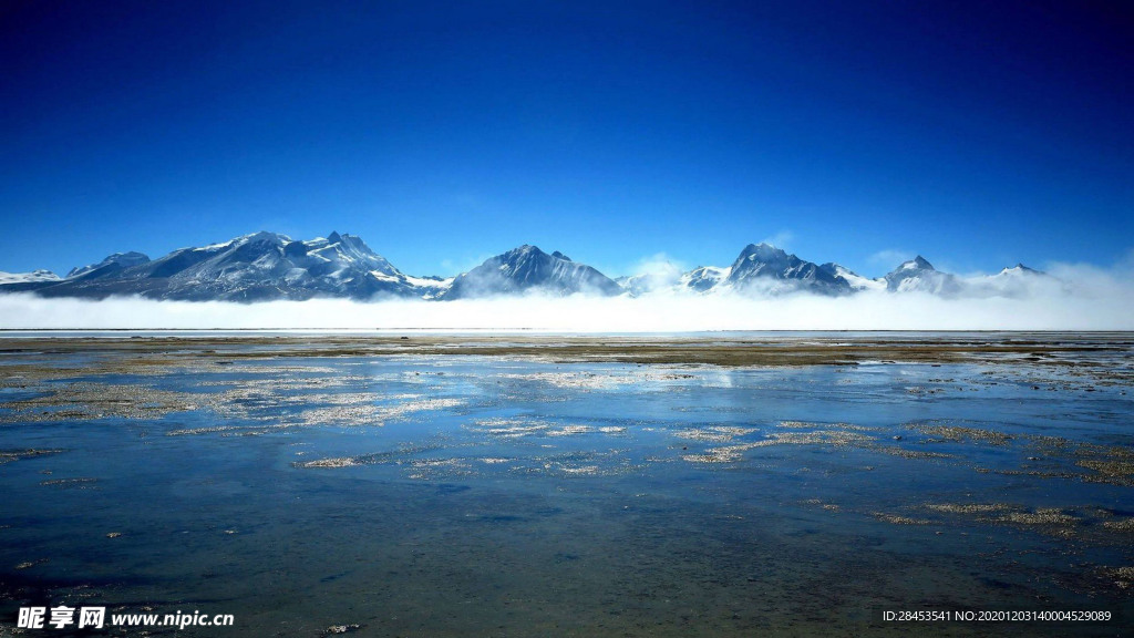 风景