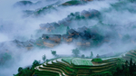 风景