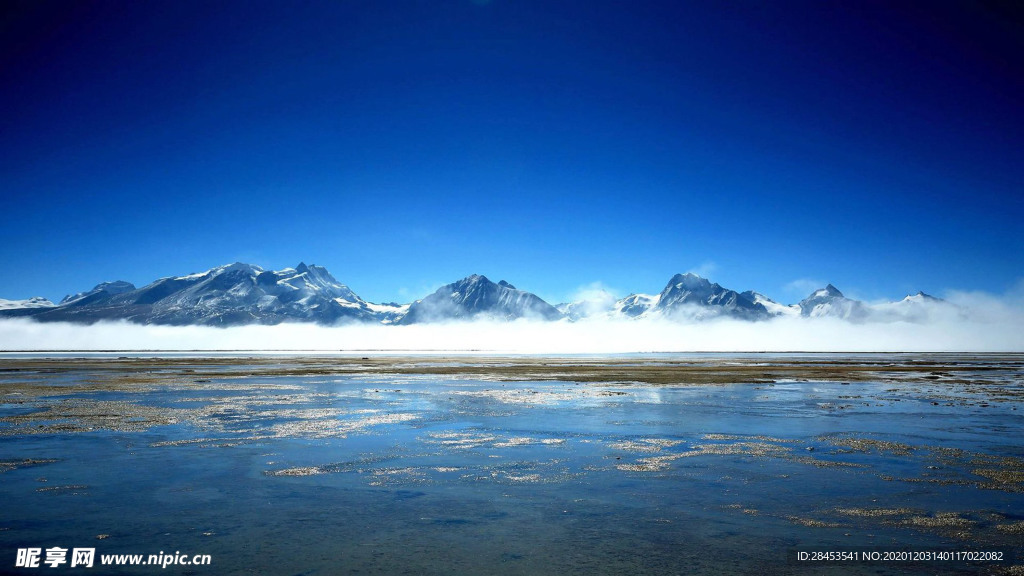 风景