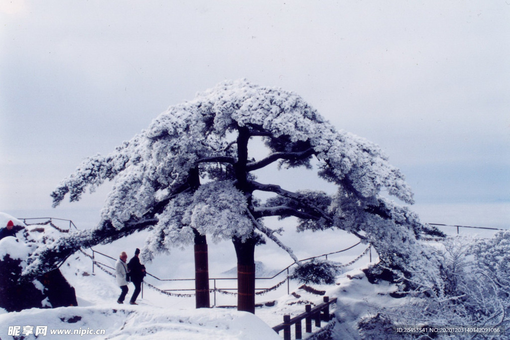 风景
