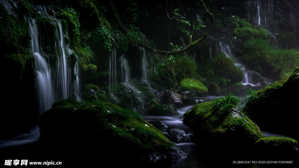 风景