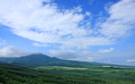 风景