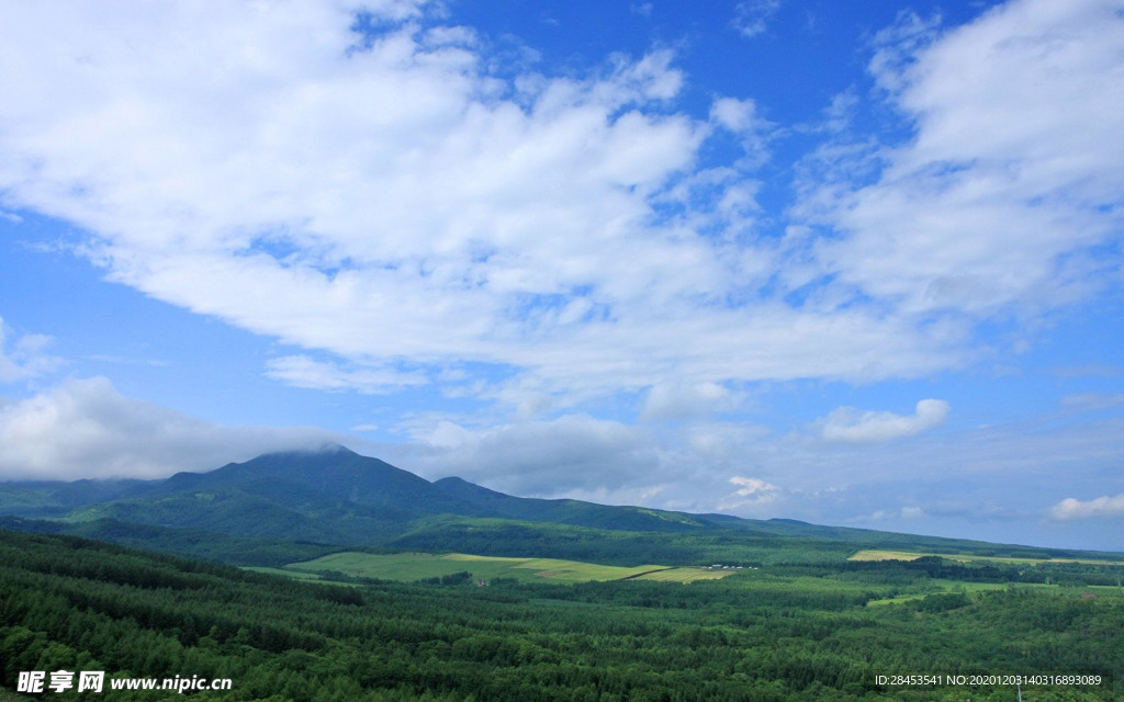 风景