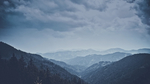 风景