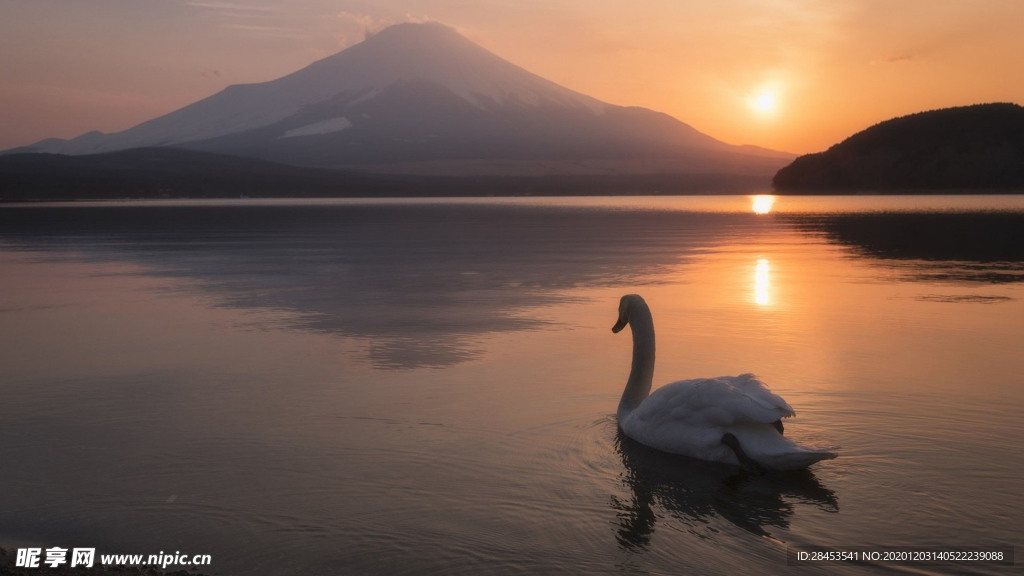 风景