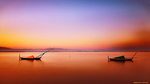 风景