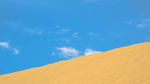风景
