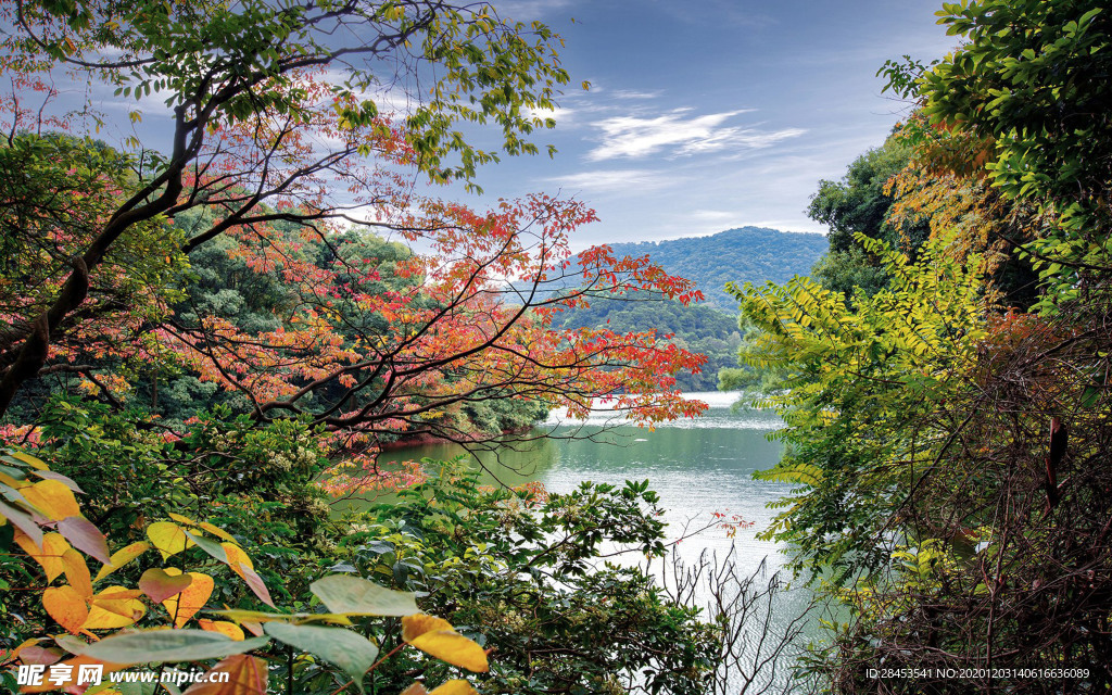风景