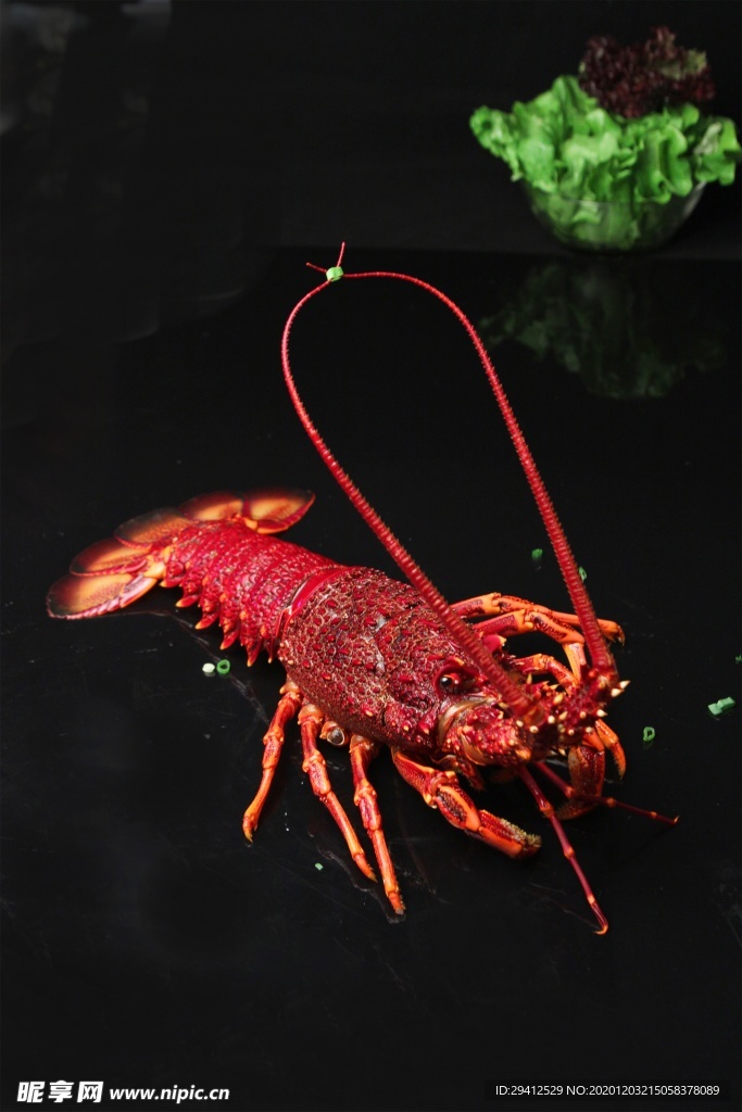 大龙虾