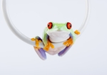蟾蜍