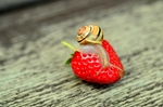 蜗牛