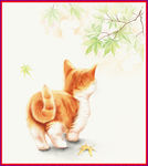 猫猫