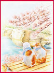 梅花 猫