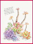 多肉植被