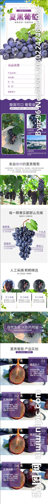 水果详情页