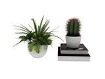 植物盆栽3d模型