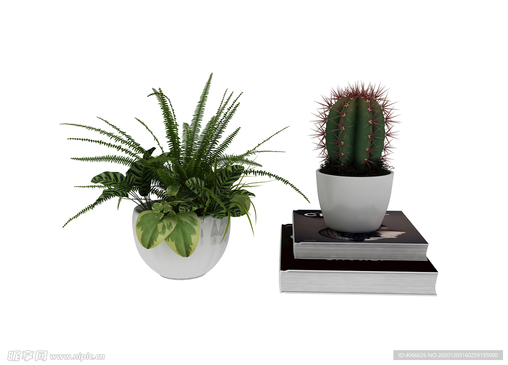 植物盆栽3d模型