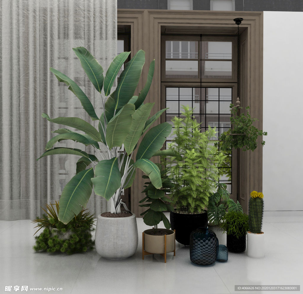盆景盆栽植物3d模型