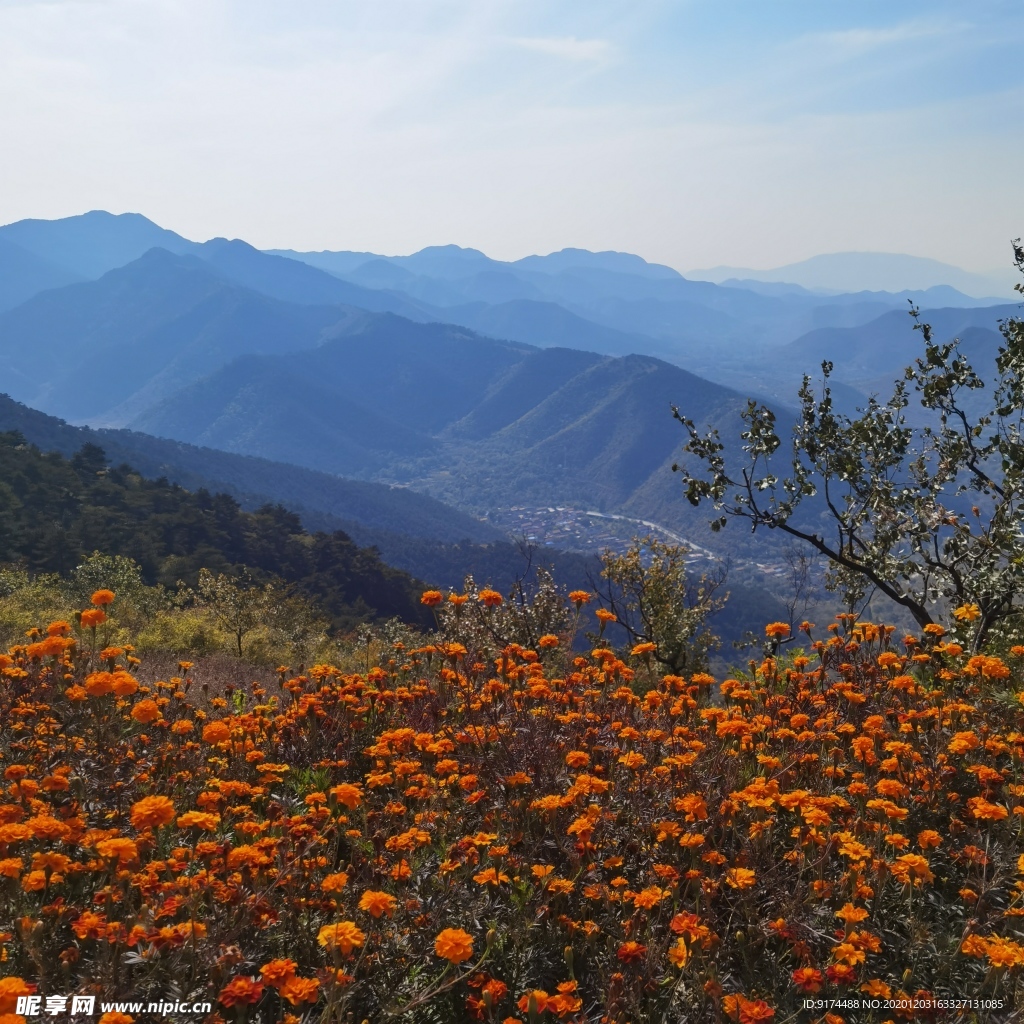 自然风格 远山