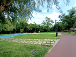 公园风景