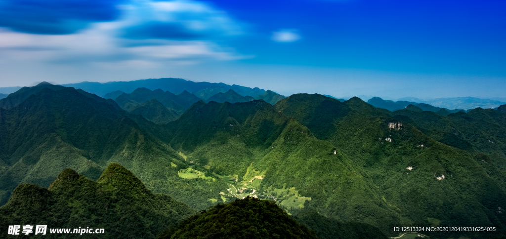 树林