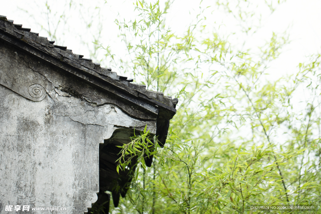 竹子