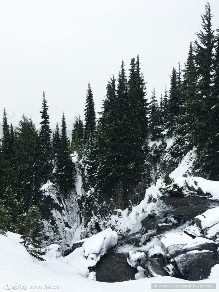 山林