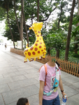 鹿