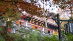 华严