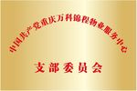 钛金奖牌