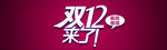 双11 双12购物节